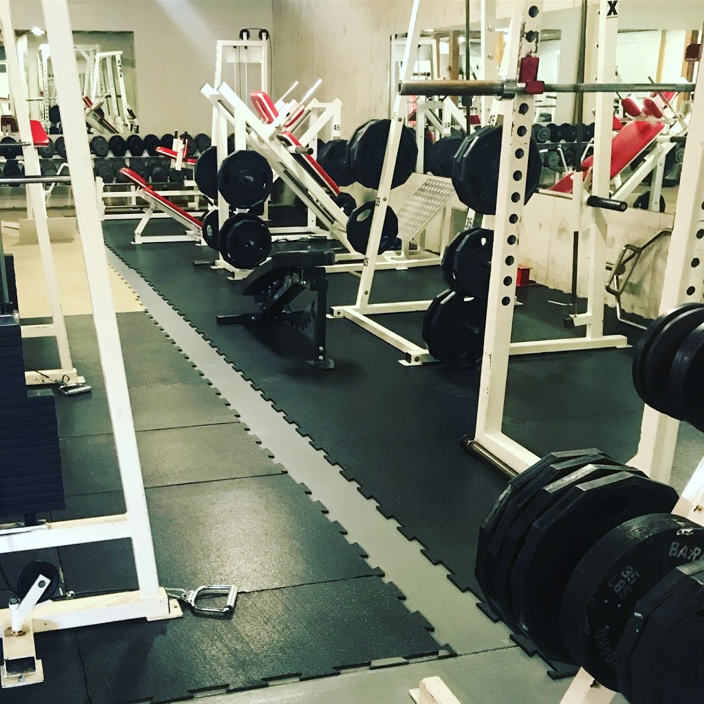 Lakeside Fitness | 4113 Squilax-Anglemont Rd, Scotch Creek, BC V0E 1M5, Canada | Phone: (250) 955-6211
