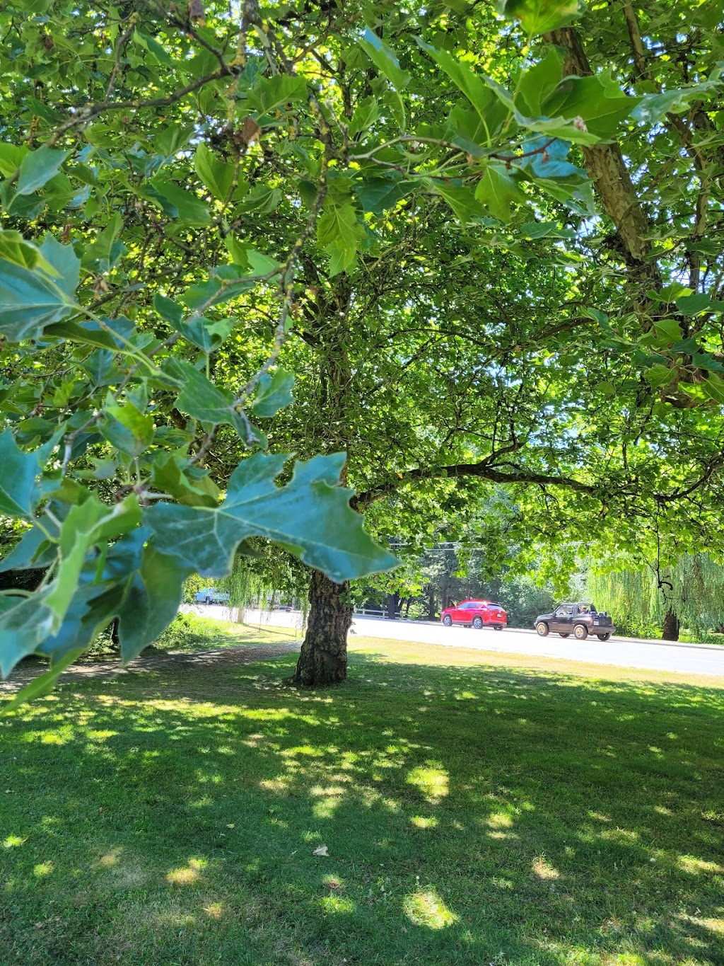 Manuel Park | 6850 Vedder Rd, Chilliwack, BC V2R 4E1, Canada | Phone: (604) 793-2904