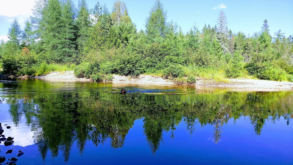 Ste-Sophies Children Camp | 3450 Av. du Castor, Chertsey, QC J0K 3K0, Canada | Phone: (450) 882-9924