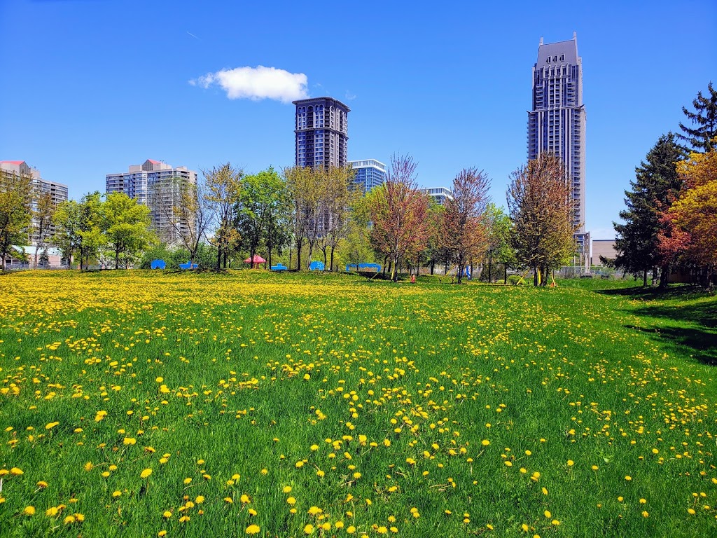 Zonta Meadows Park | 410 Rathburn Rd W, Mississauga, ON L5B 3N8, Canada | Phone: (905) 454-1877