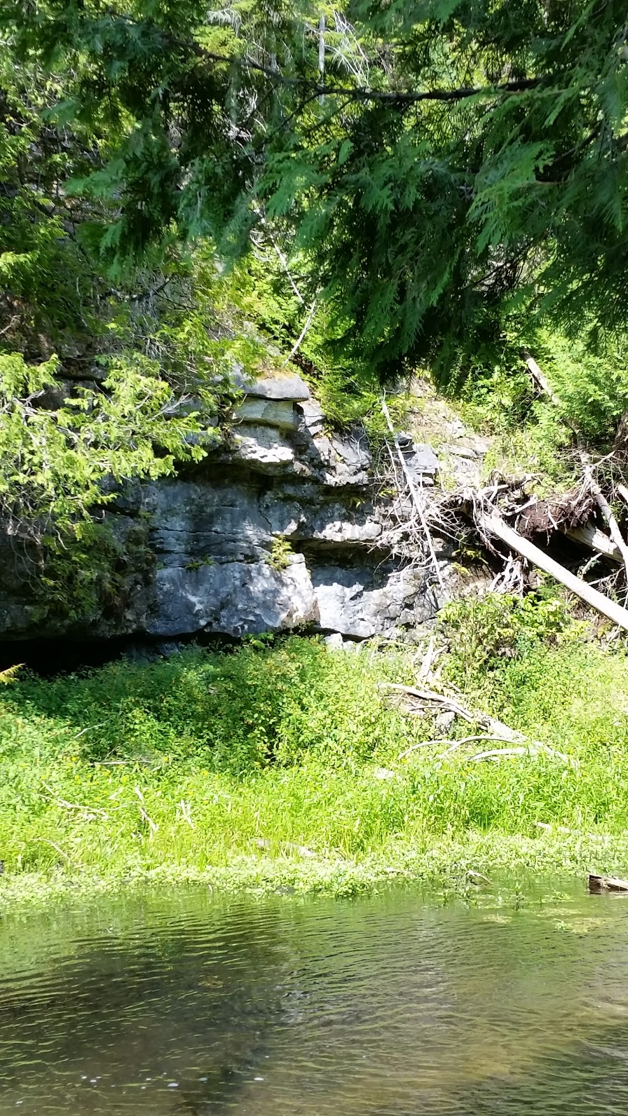 Feversham Gorge - Madeleine Graydon Memorial Conservation Area | 106 River Rd, Feversham, ON N0C 1C0, Canada | Phone: (519) 376-3076