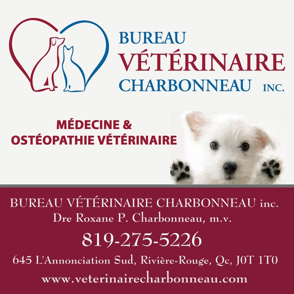Bureau Vétérinaire Charbonneau inc. | 645 Rue LAnnonciation S, Rivière-Rouge, QC J0T 1T0, Canada | Phone: (819) 275-5226