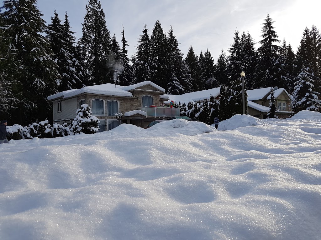 North Hoy Creek Park | 2231 Parkway Blvd, Coquitlam, BC V3E 3P8, Canada | Phone: (604) 927-3000