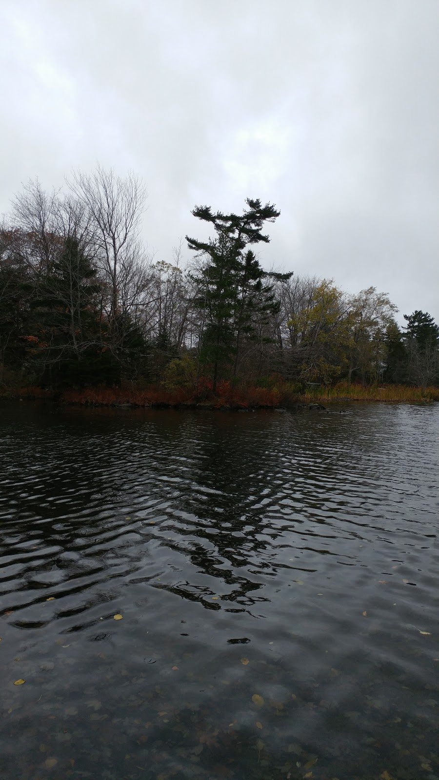 Sackville Lakes Trails Parking | 440 First Lake Dr, Lower Sackville, NS B4C 3L2, Canada