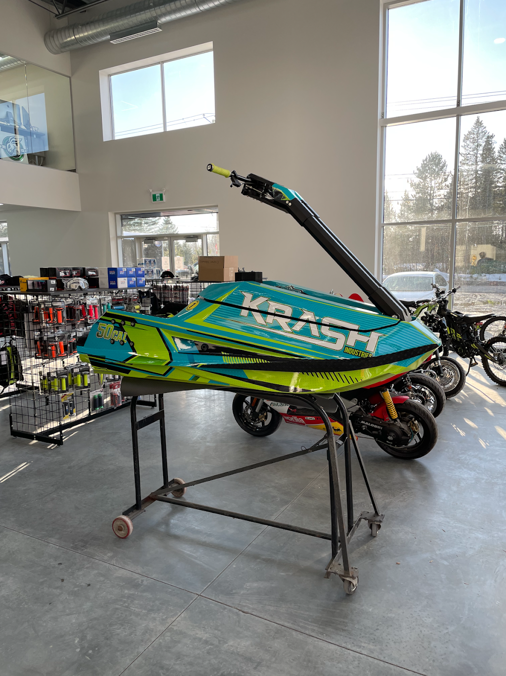 Action Marine | 332 Boulevard Jacques Cartier, Shannon, QC G3S 0K1, Canada | Phone: (581) 531-1010