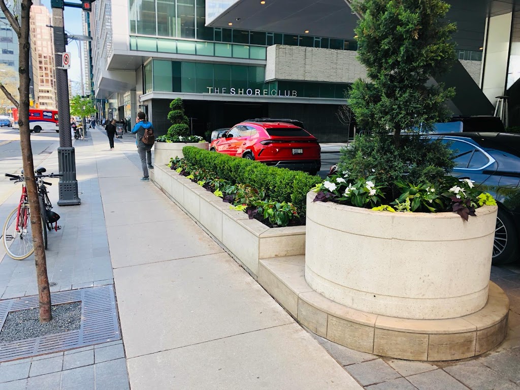 Moon Landscaping LTD | 298 Lakeshore Rd W B, Mississauga, ON L5H 1G6, Canada | Phone: (647) 962-5373