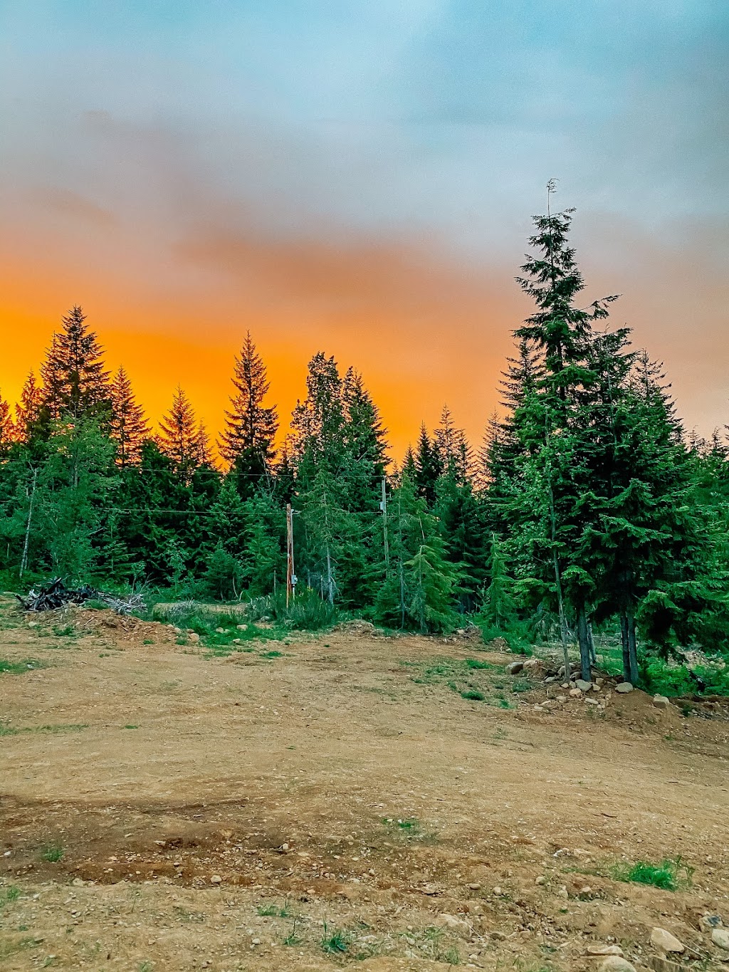 Forbidden Plateau Mountain Resort and Campground | 8010 Forbidden Plateau Rd, Courtenay, BC V9J 1L2, Canada | Phone: (250) 897-2522