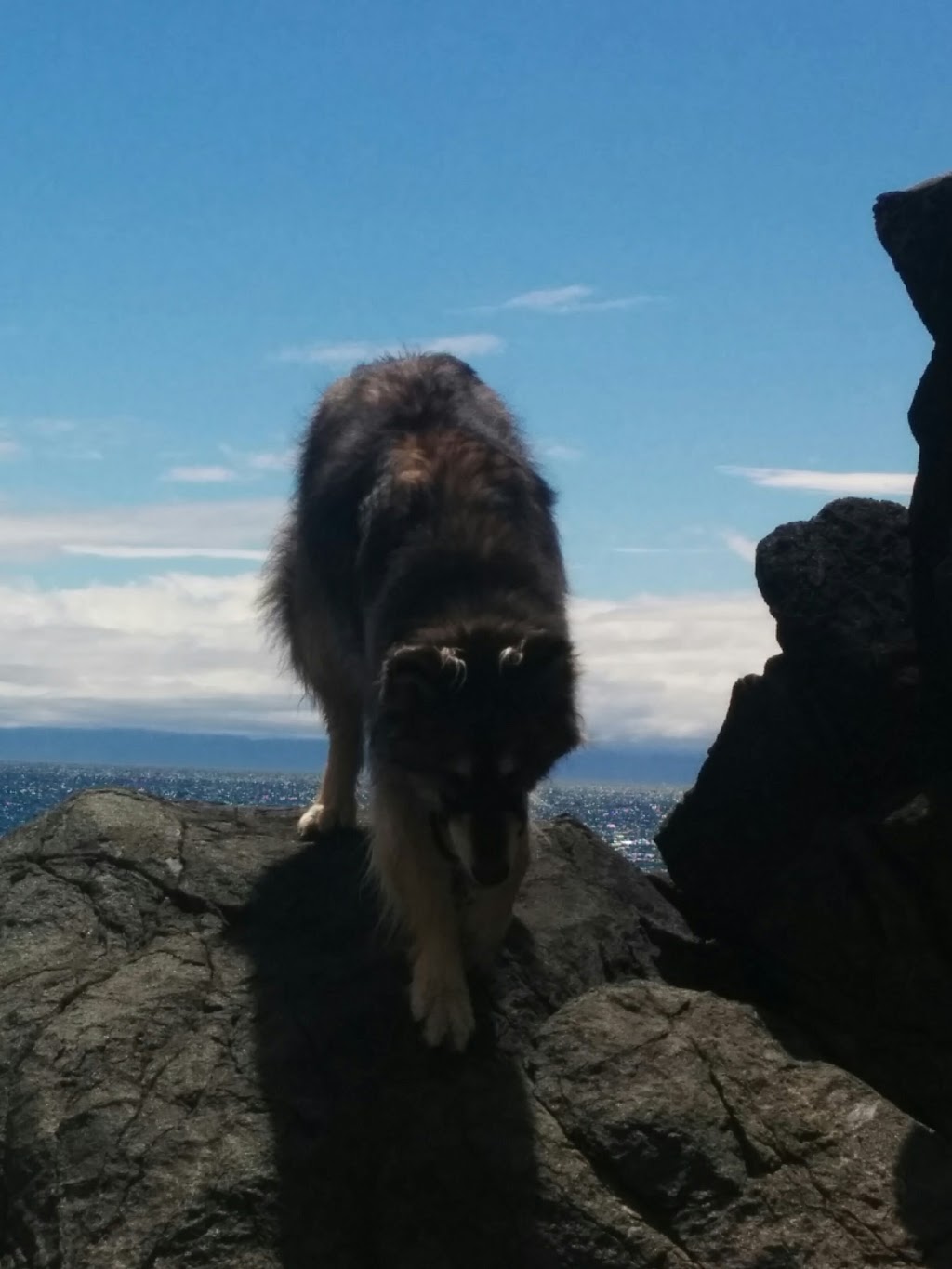 Denniston Park | 430 Grafton St, Victoria, BC V9A 6S3, Canada