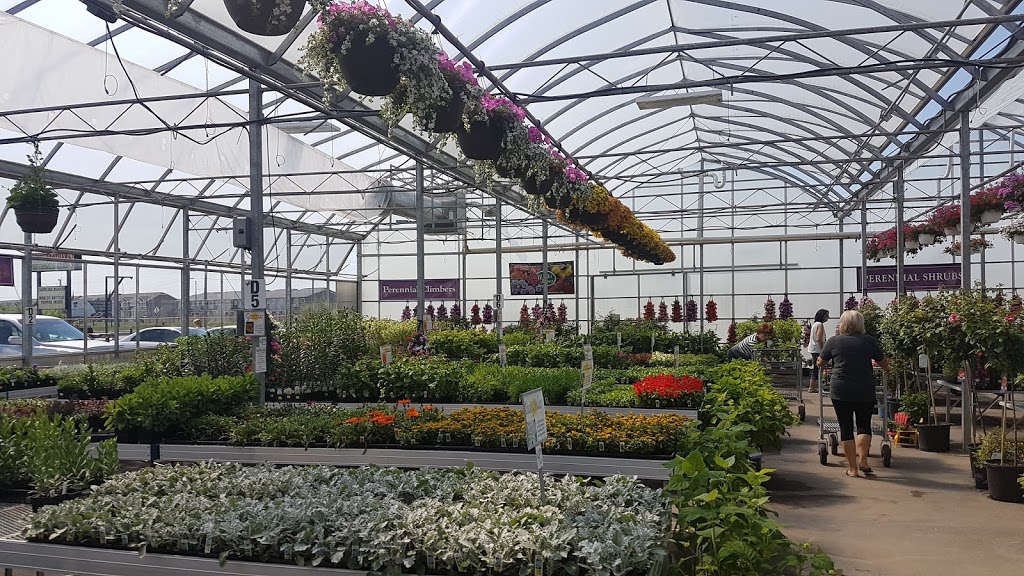 Sumka Brothers Greenhouses (1977) | 328 Peguis St, Winnipeg, MB R3W 1R4, Canada | Phone: (204) 661-9229