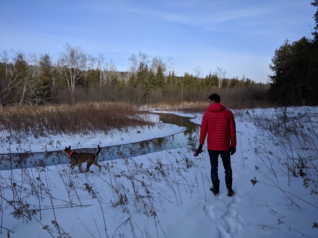 Goodwood Conservation Area | Cedar Valley, ON L0G 1E0, Canada