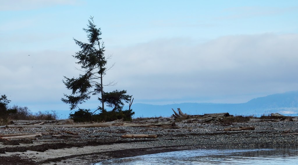 Rathtrevor Beach Campground | 1240 Rath Rd, Parksville, BC V9P 2E2, Canada | Phone: (250) 474-1336