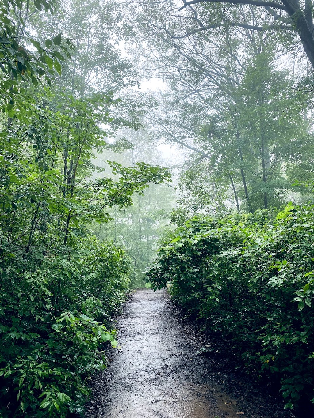 Hamilton Conservation Authority | 838 Mineral Springs Rd, Ancaster, ON L9G 4X1, Canada | Phone: (905) 525-2181