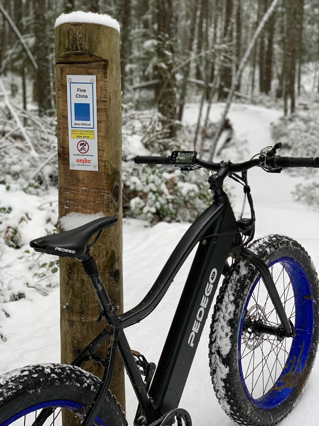 Pedego Electric Bikes Nanaimo | 5200 Dublin Way Unit 101, Nanaimo, BC V9T 2B7, Canada | Phone: (250) 585-2725