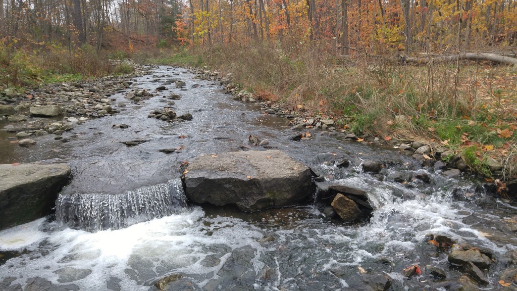 Sawmill Creek | 302 City Centre Dr, Mississauga, ON L5L 3A5, Canada