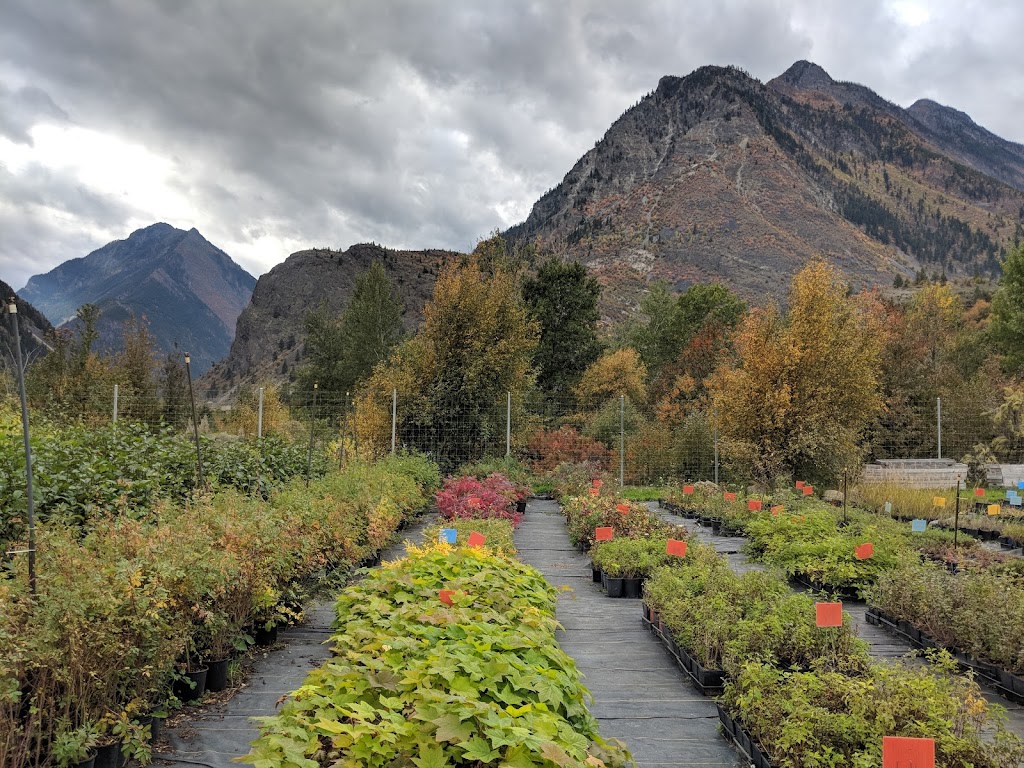 Splitrock Environmental | South 1119, BC-99, Lillooet, BC V0K 1V0, Canada | Phone: (250) 256-0002
