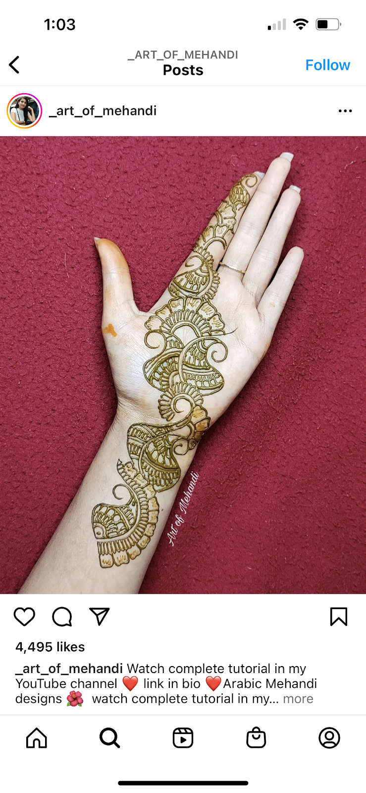 Henna artist | Heartview Rd, Brampton, ON L6Z 0C9, Canada | Phone: (416) 540-1237