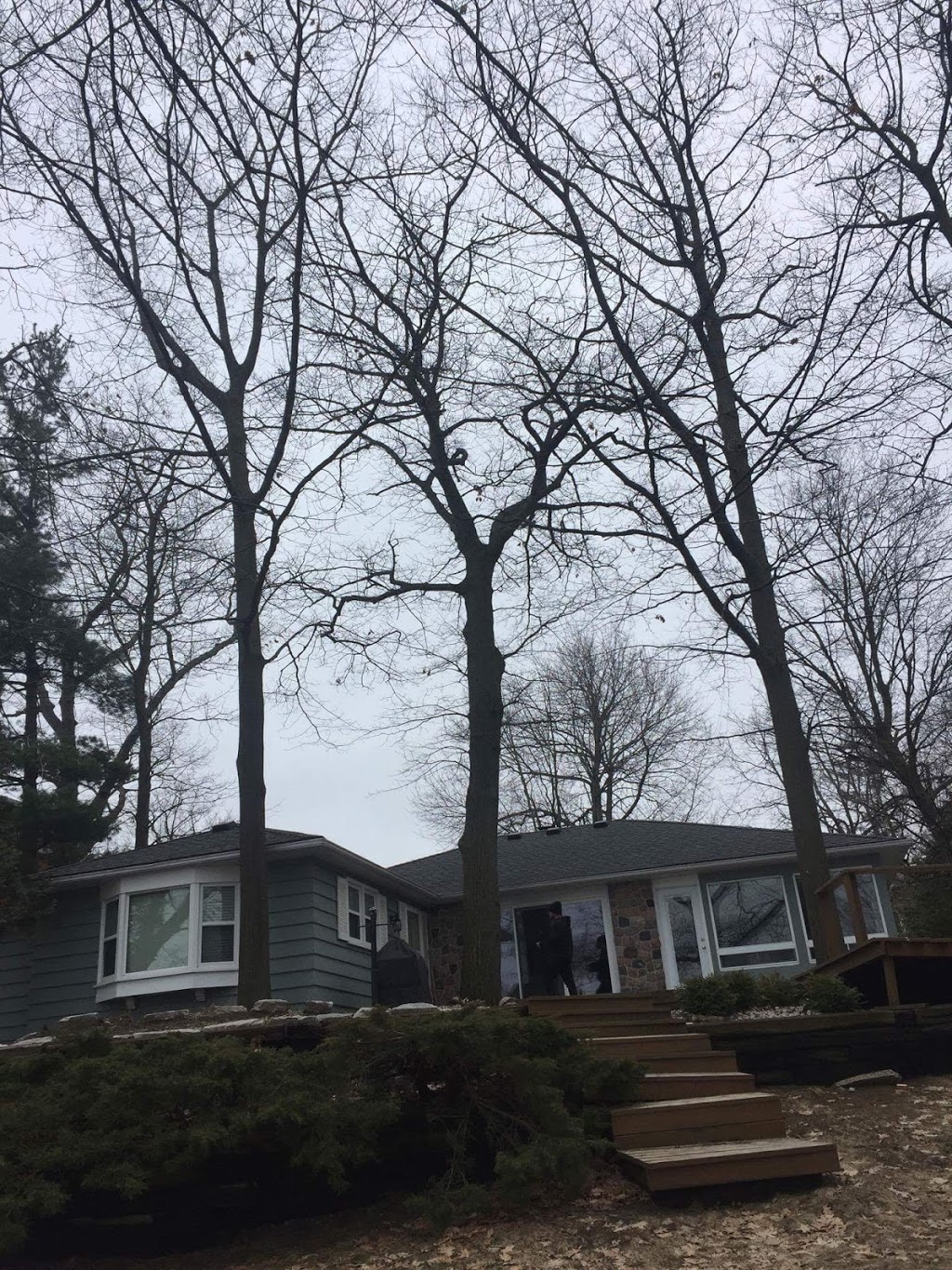 Lotus Tree Care | 268 Barrie St, Thornton, ON L0L 2N0, Canada | Phone: (705) 816-6711