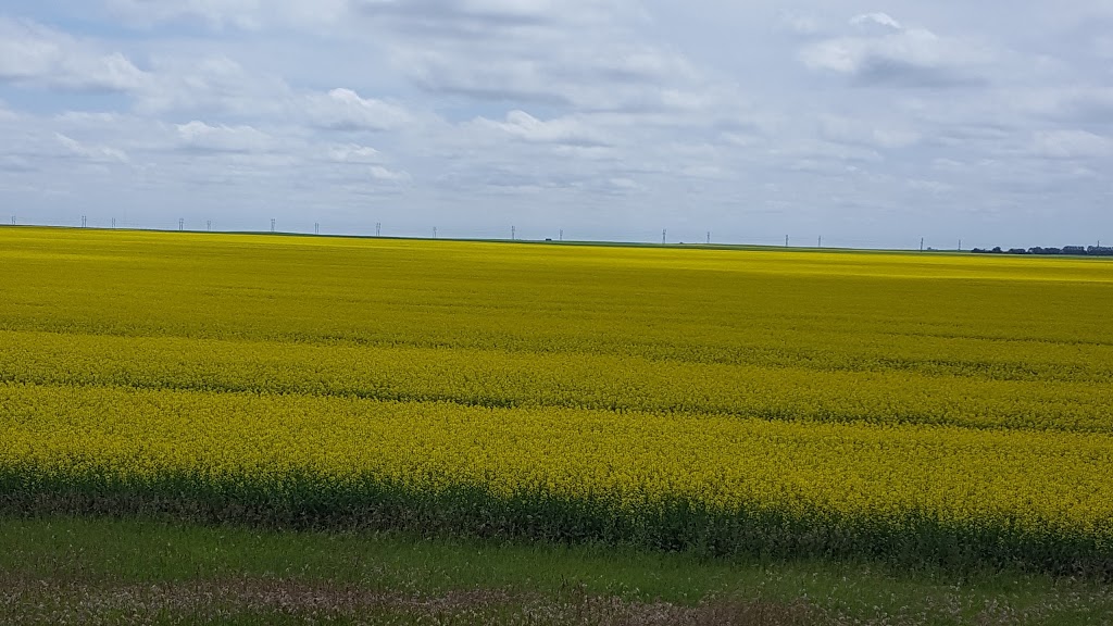 Shannon Park | 511 Shannon Rd, Regina, SK S4S 5J2, Canada