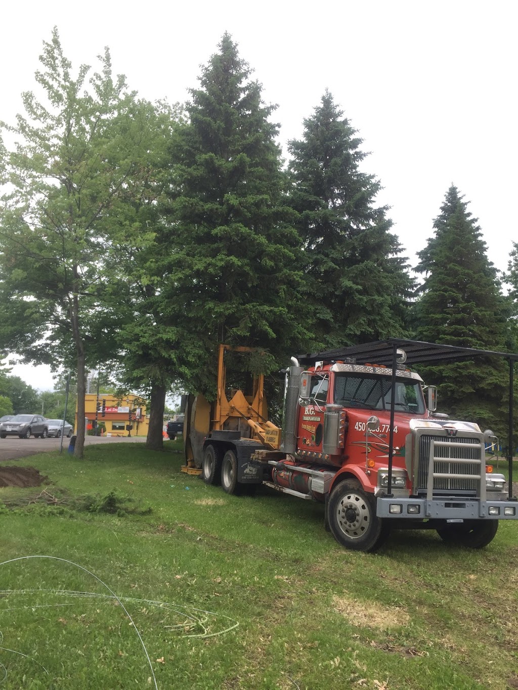B.G. Transplantation inc. | 8800 Chem. du Curé Barrette, Terrebonne, QC J7M 1N3, Canada | Phone: (514) 703-7744