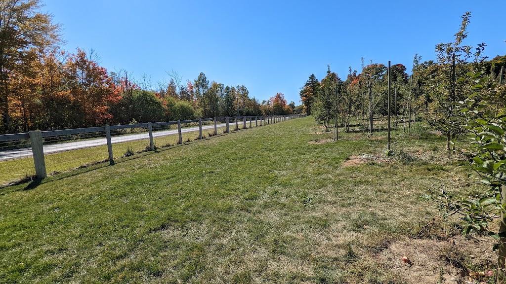 Downeys Apple Farm | 1355 Hopewell Creek Rd, Maryhill, ON N0B 2B0, Canada | Phone: (519) 590-4777