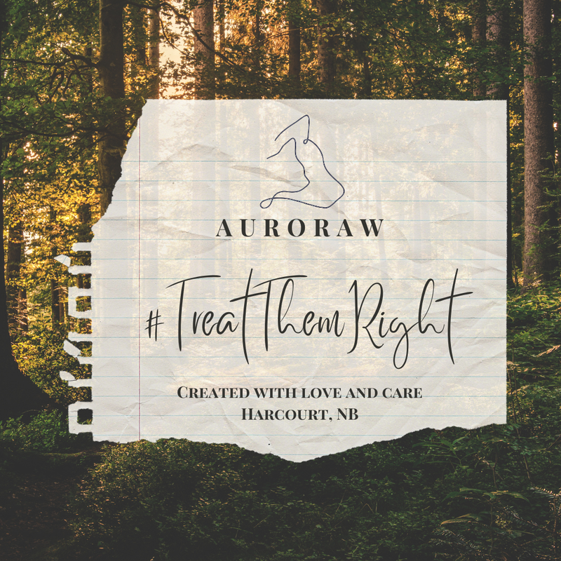 Auroraw Doggy Stay and Play Dog Boarding + Daycare | 8131 NB-126, Harcourt, NB E4T 2Z7, Canada | Phone: (519) 721-3991