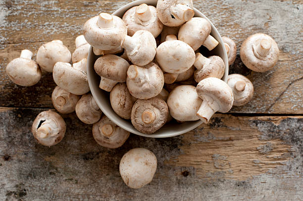 portperrymushrooms | 2360 Puckrin Dr, Seagrave, ON L0C 1G0, Canada | Phone: (416) 509-7127