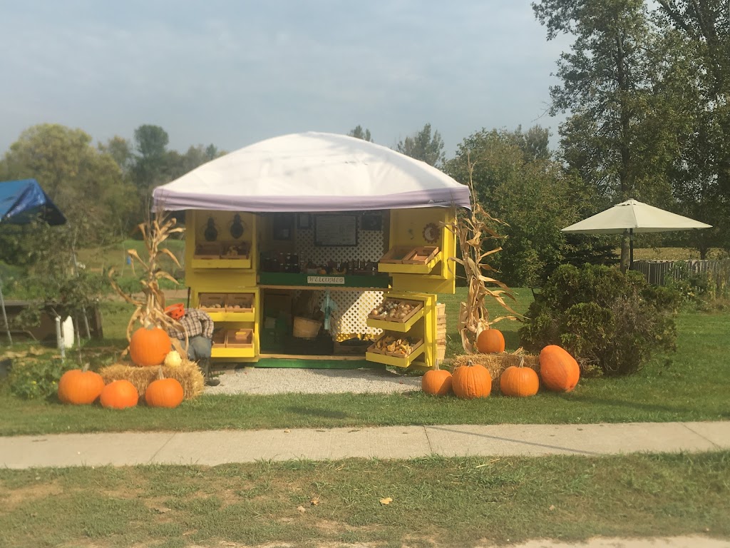 Beckys Dog and Cat Salon Inc. | 34 Stoco Rd, Tweed, ON K0K 3J0, Canada | Phone: (613) 478-3800