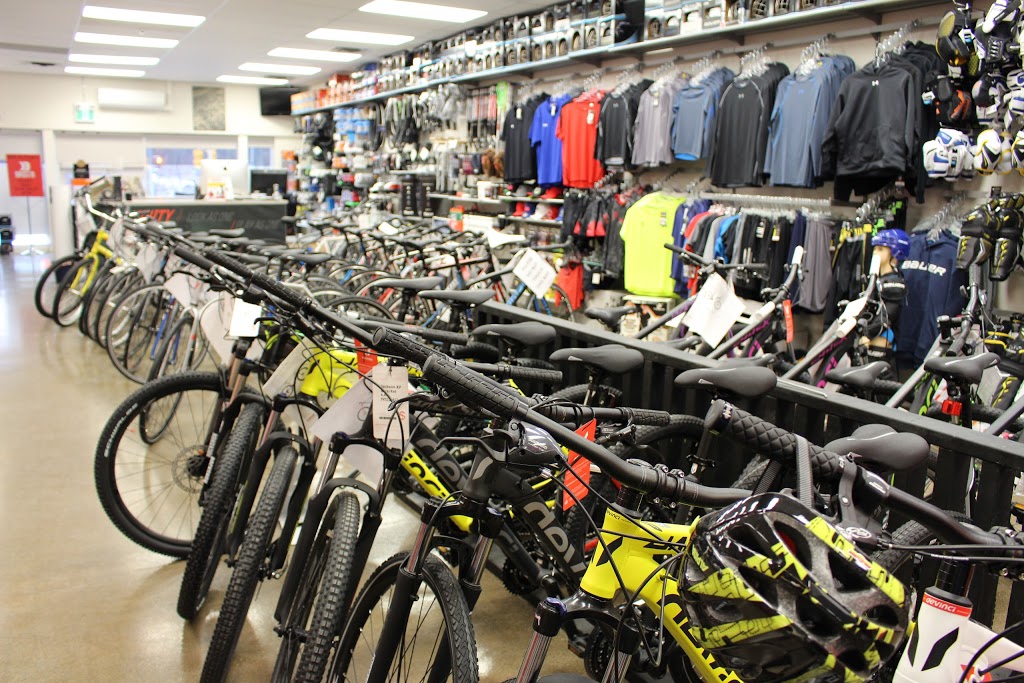 Berts Sports Excellence | 1211 Hurontario St b, Mississauga, ON L5G 3H2, Canada | Phone: (905) 278-4780