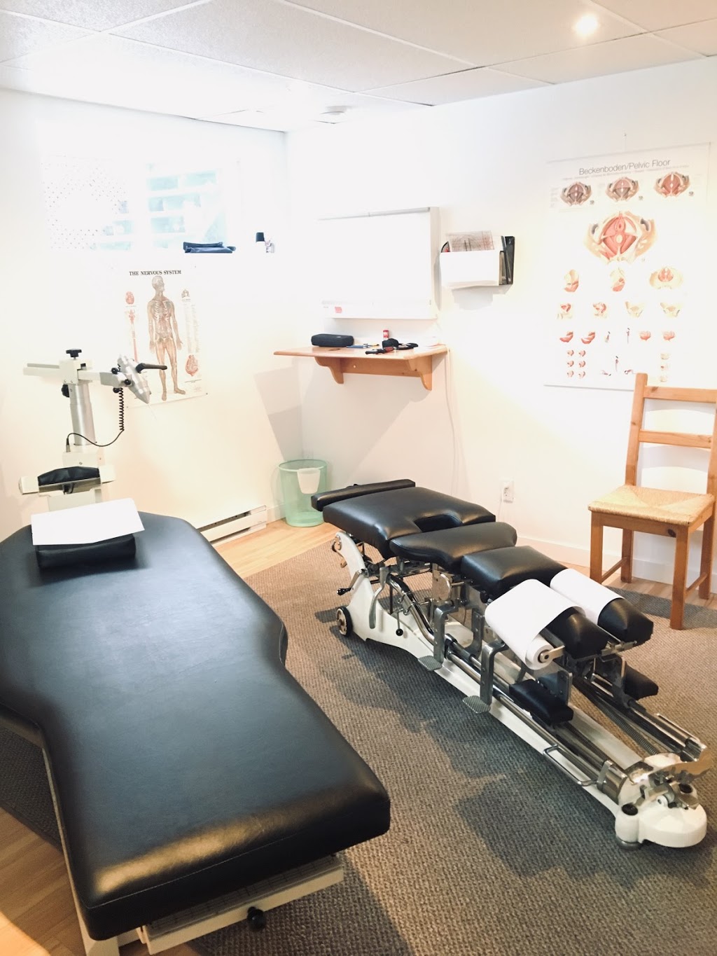 Chiropractic Clinic | 31 Rue des Grives, Saint-Basile-le-Grand, QC J3N 1L1, Canada | Phone: (450) 653-7998
