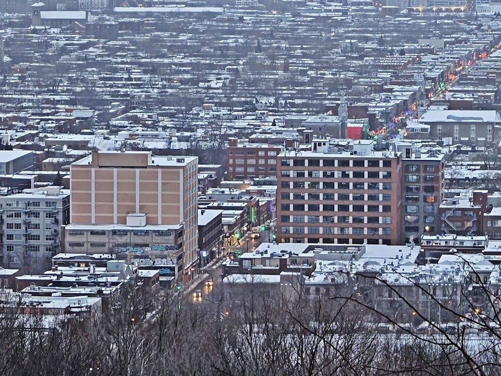 Terrain 275 | 1576 Voie Camillien-Houde, Montréal, QC H2W 1S8, Canada | Phone: (514) 868-3737