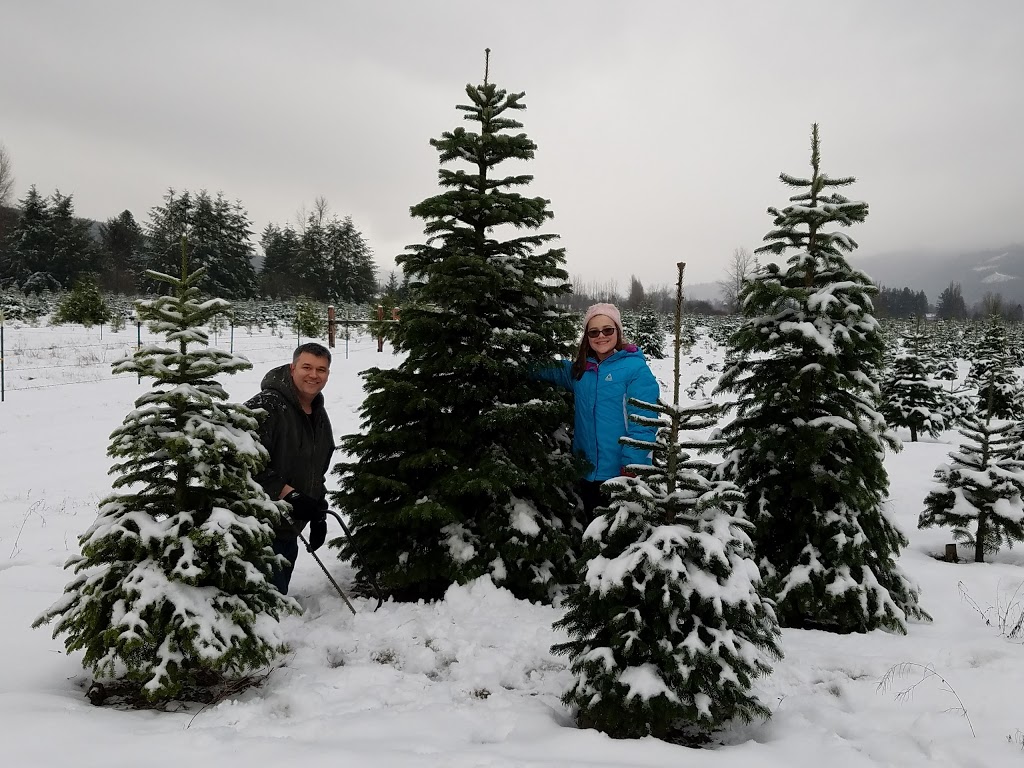 Alpine Meadows Tree Farm | 3585 Valley Hwy, Deming, WA 98244, USA | Phone: (360) 595-1019