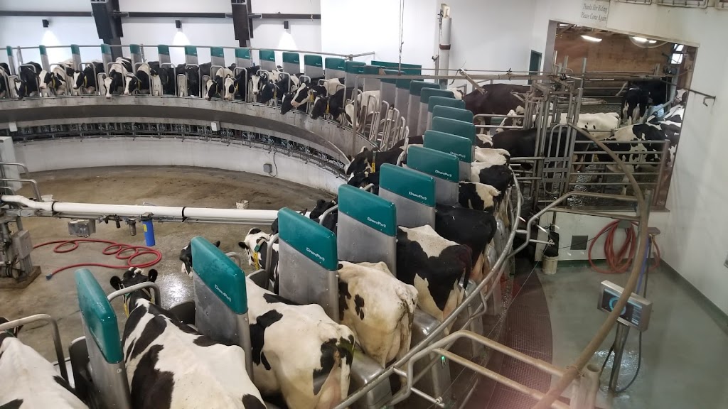 Pacific Dairy Centre Ltd | 8558 Chilliwack Mountain Rd, Chilliwack, BC V2R 3W8, Canada | Phone: (604) 852-9020