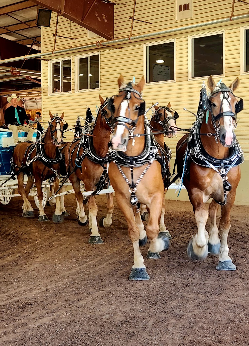 Princess Louise Park Show Centre | 56 Perry St, Sussex, NB E4E 2N7, Canada | Phone: (506) 433-4700