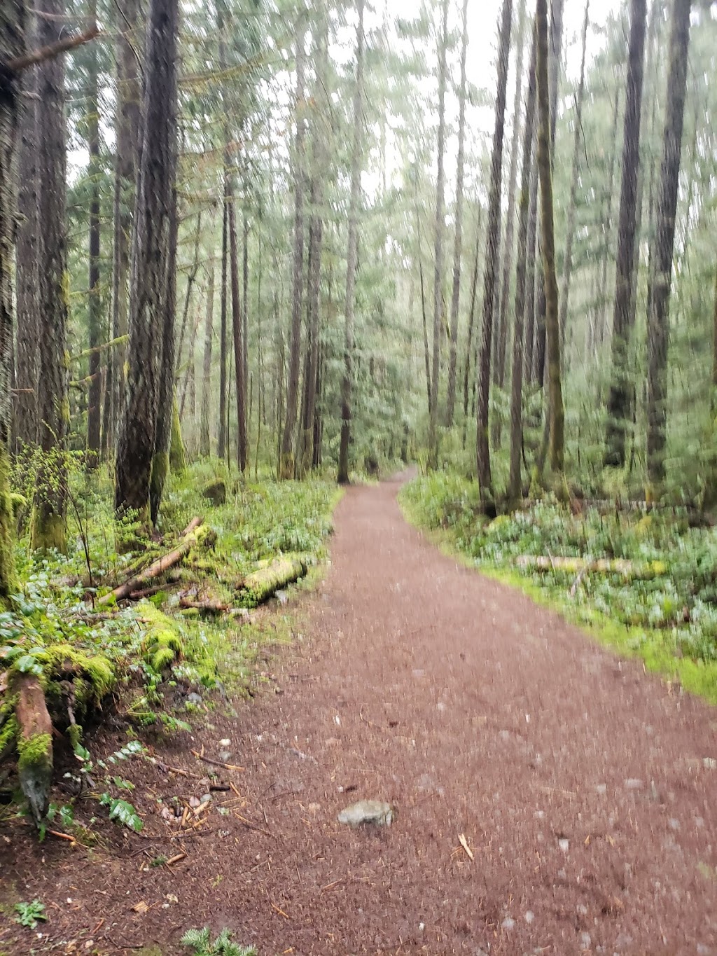 Cascade Trail | Cascade Trail, Victoria, BC V9E 2A3, Canada