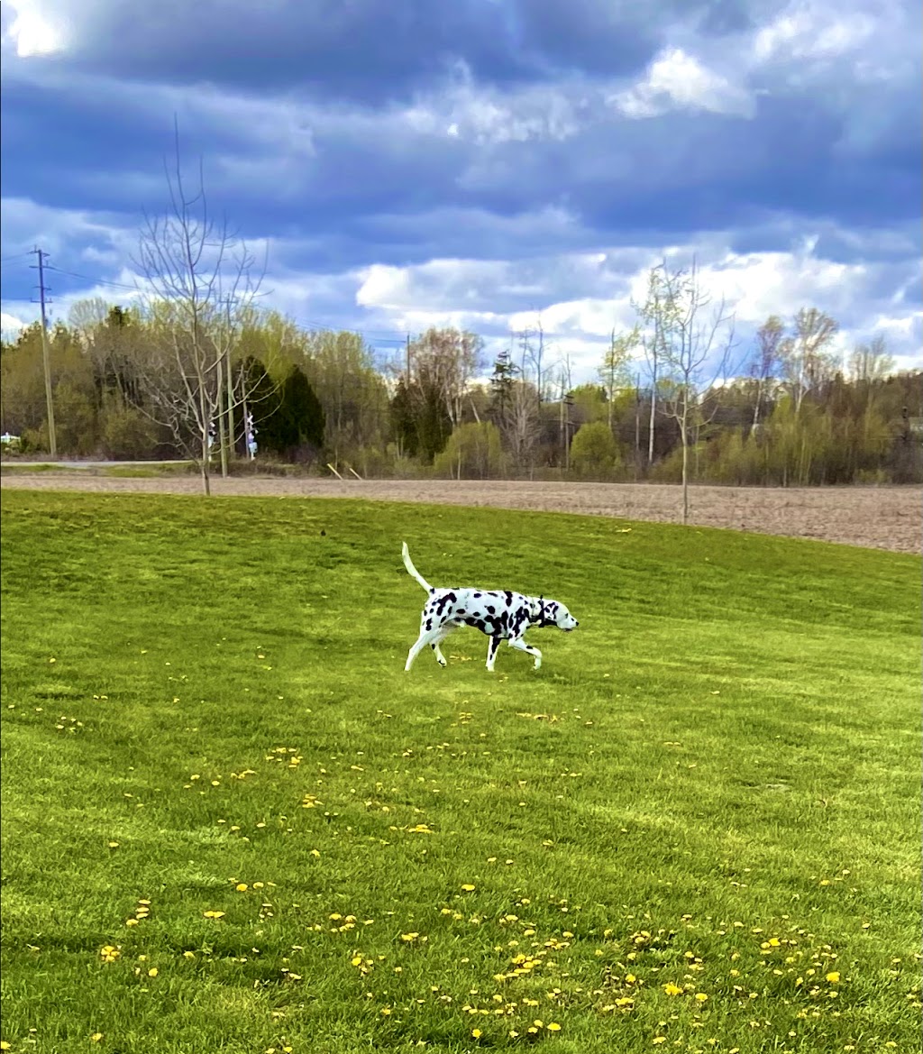 RailsideK9Resort | 281 Colton St, Colborne, ON K0K 1S0, Canada | Phone: (647) 554-3647