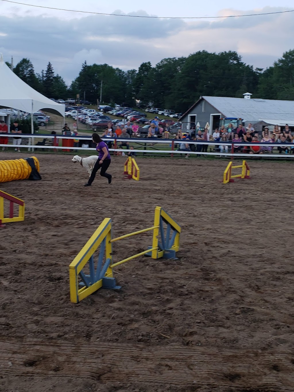 Halifax Co Exhibition | 190 Exhibition Grounds Rd, Middle Musquodoboit, NS B0N 1X0, Canada | Phone: (902) 384-2894