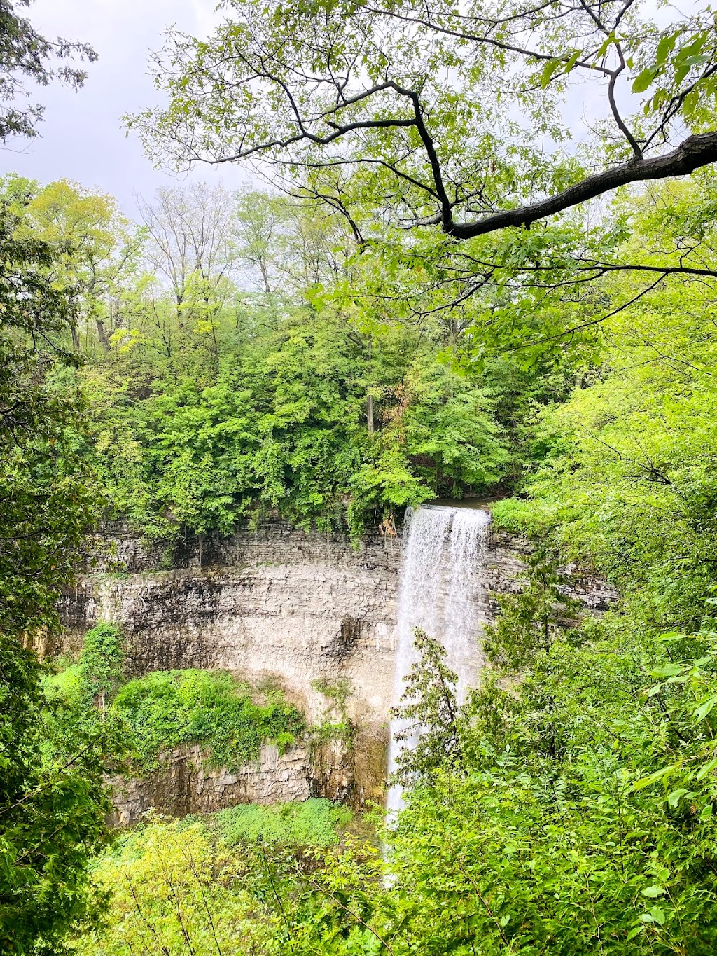 Hamilton Conservation Authority | 838 Mineral Springs Rd, Ancaster, ON L9G 4X1, Canada | Phone: (905) 525-2181