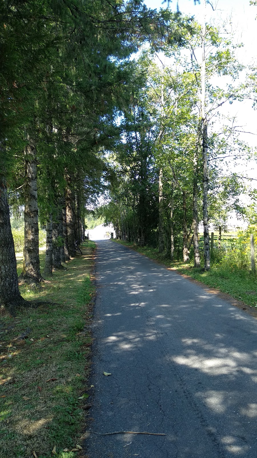 CLINGAN BLUEBERRY FARM | 24576 32 Ave, Langley City, BC V2Z 2J5, Canada | Phone: (604) 534-7360