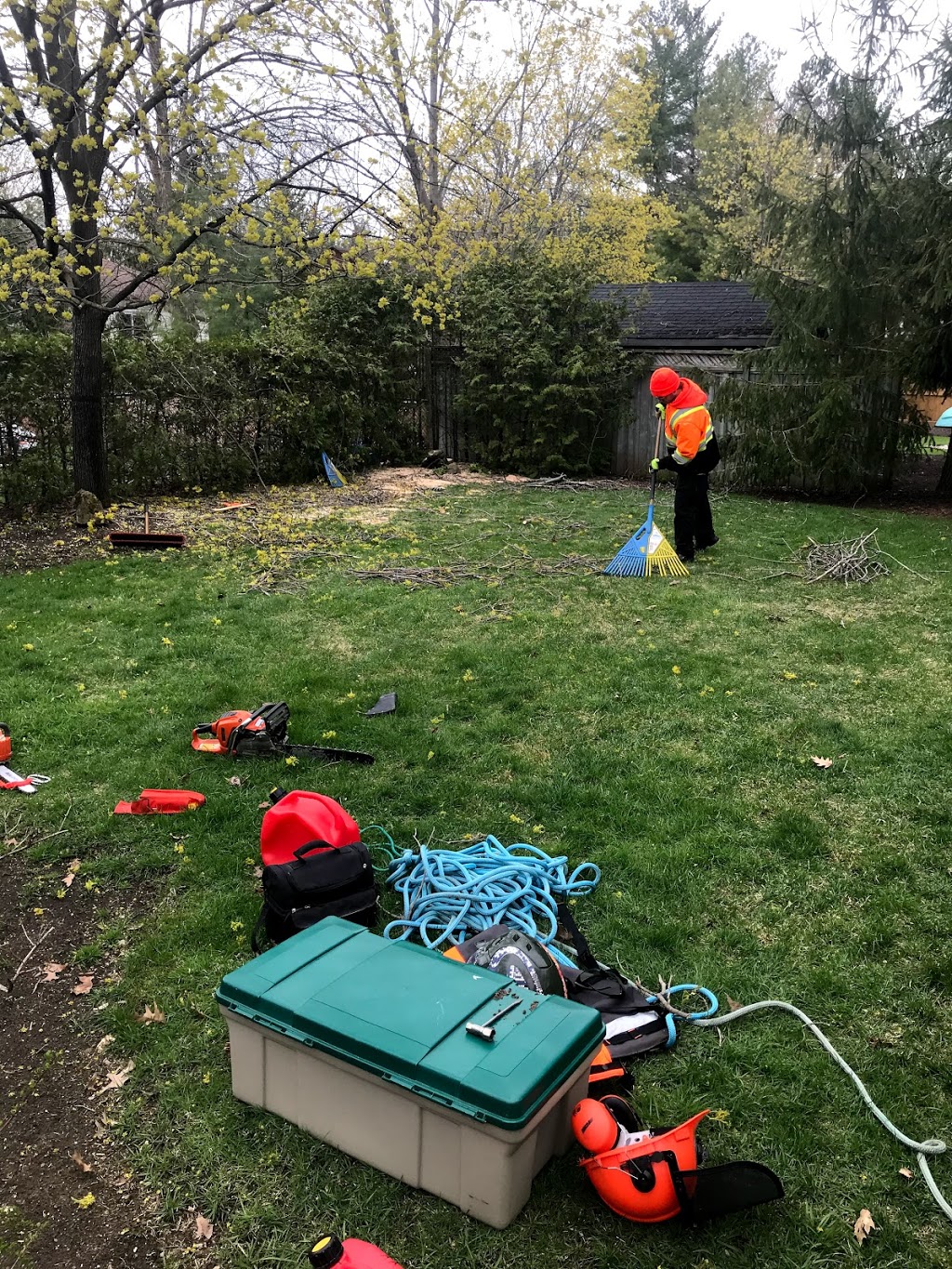 Southern Tree Service | 828254 Mulmur Nottawasaga Townline, Mulmur, ON L9V 0Y7, Canada | Phone: (705) 443-7789