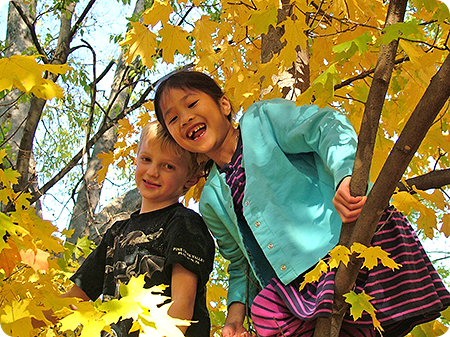 Little Buddies Pediatric Therapy | 3688 Cessna Dr, Richmond, BC V7B 1C7, Canada | Phone: (604) 299-8862