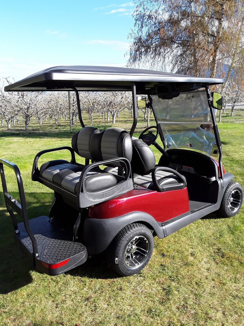 Fairway Golf Cars | 4602 107 St, Osoyoos, BC V0H 1V4, Canada | Phone: (250) 495-2828