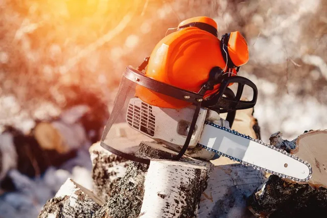 Sumas Tree Service | 2332 Whatcom Rd #16003, Abbotsford, BC V3G 0C6, Canada | Phone: (236) 233-3202
