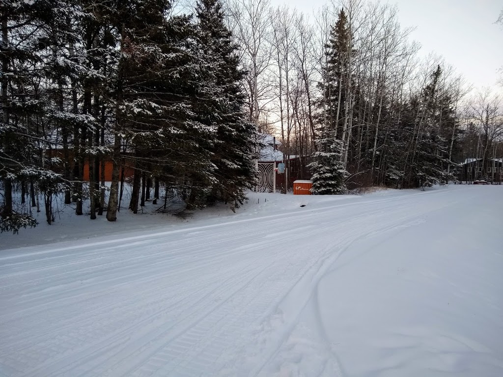 Interlake Snow Clearing | Parkview Ln, Arnes, MB R0C 0C0, Canada | Phone: (204) 642-8667