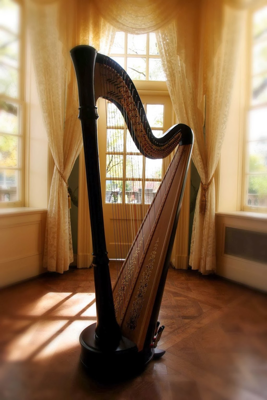 Chantal Dube the Harpist | 249-, 7360 Zinnia Pl, Mississauga, ON L5W 2A2, Canada | Phone: (416) 909-9944