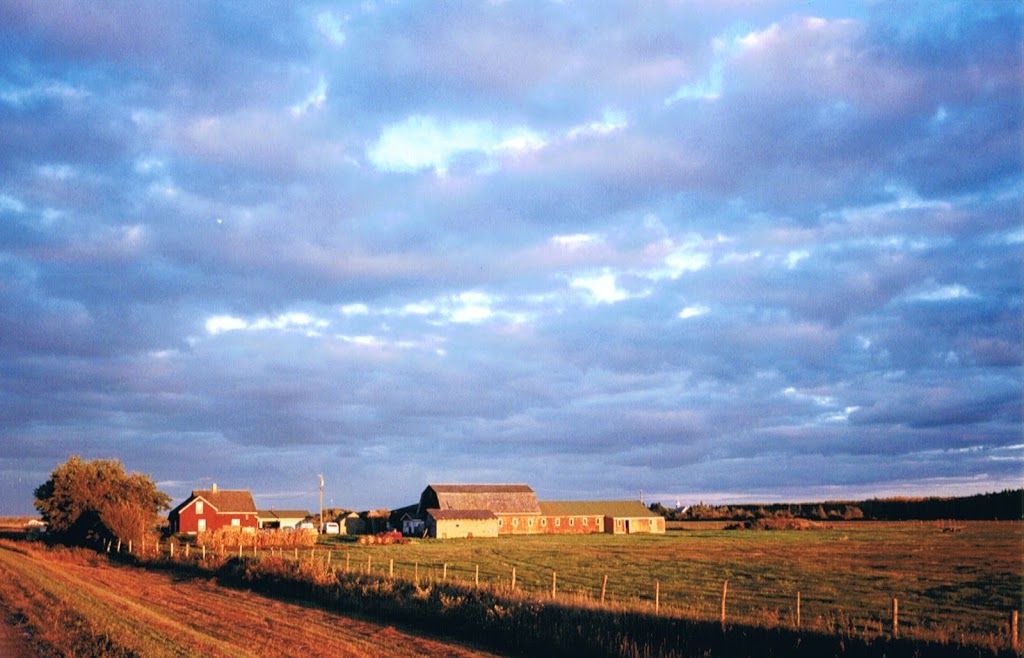 Site historique Monseigneur-Taché Historic Site | #50154, rue Saltel St; Postal Address:, 50154 Mun 41E, Ste-Geneviève, MB R5J 0B9, Canada