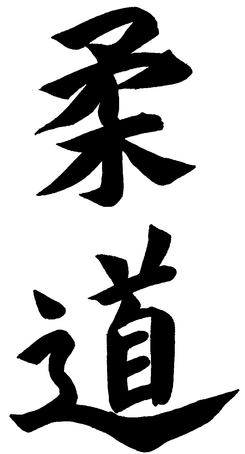 Judo Magog | 189 Rue Tupper, Magog, QC J1X 1J8, Canada | Phone: (819) 434-7275