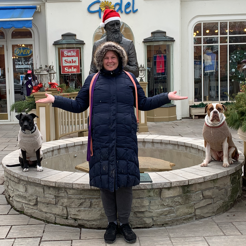 G.C.K9.A. Dojo 4 Dogs | 7 Antwerp St, St. Catharines, ON L2S 1J8, Canada | Phone: (905) 932-0752