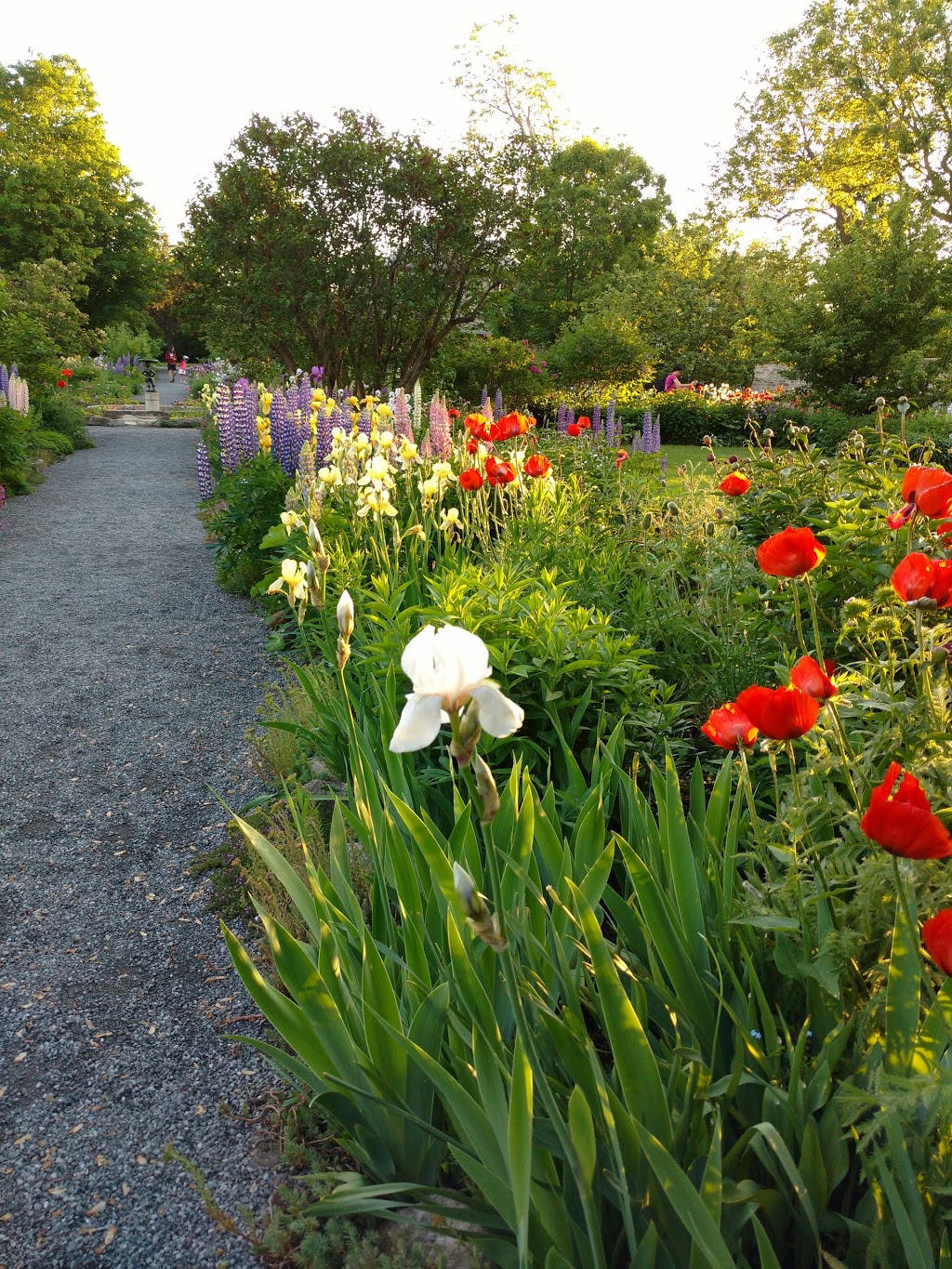 Maplelawn Garden | 497-529 Richmond Rd, Ottawa, ON K2A 0G3, Canada | Phone: (800) 465-1867