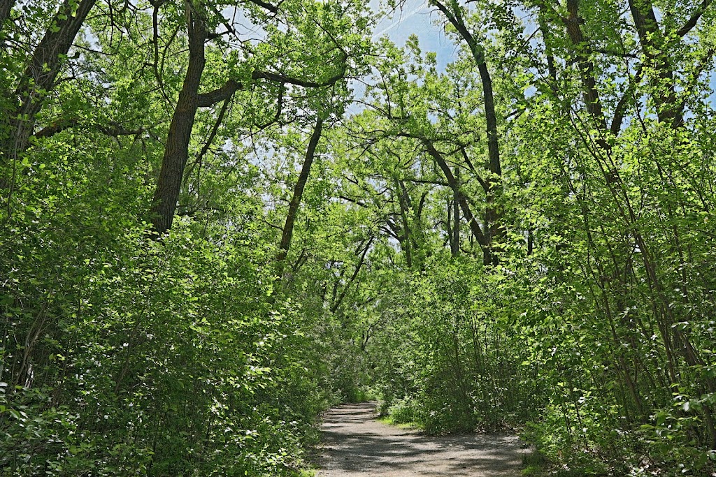 Pavan Park | Lethbridge, AB T0K 0T0, Canada | Phone: (403) 329-7355
