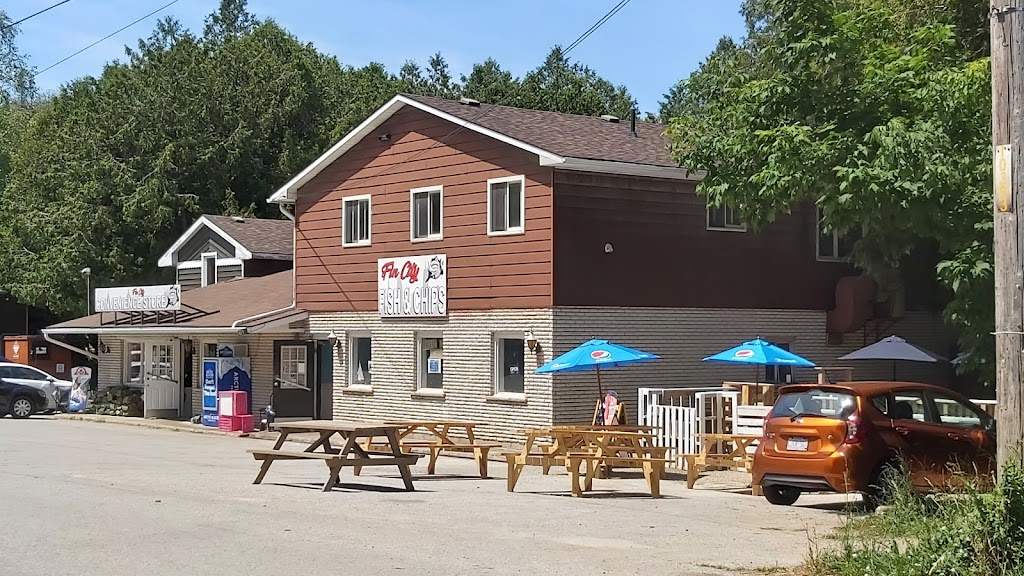 Fin City Fish & Chips Restaurant | 61 Albert Rd, Tiverton, ON N0G 2T0, Canada | Phone: (519) 368-2483
